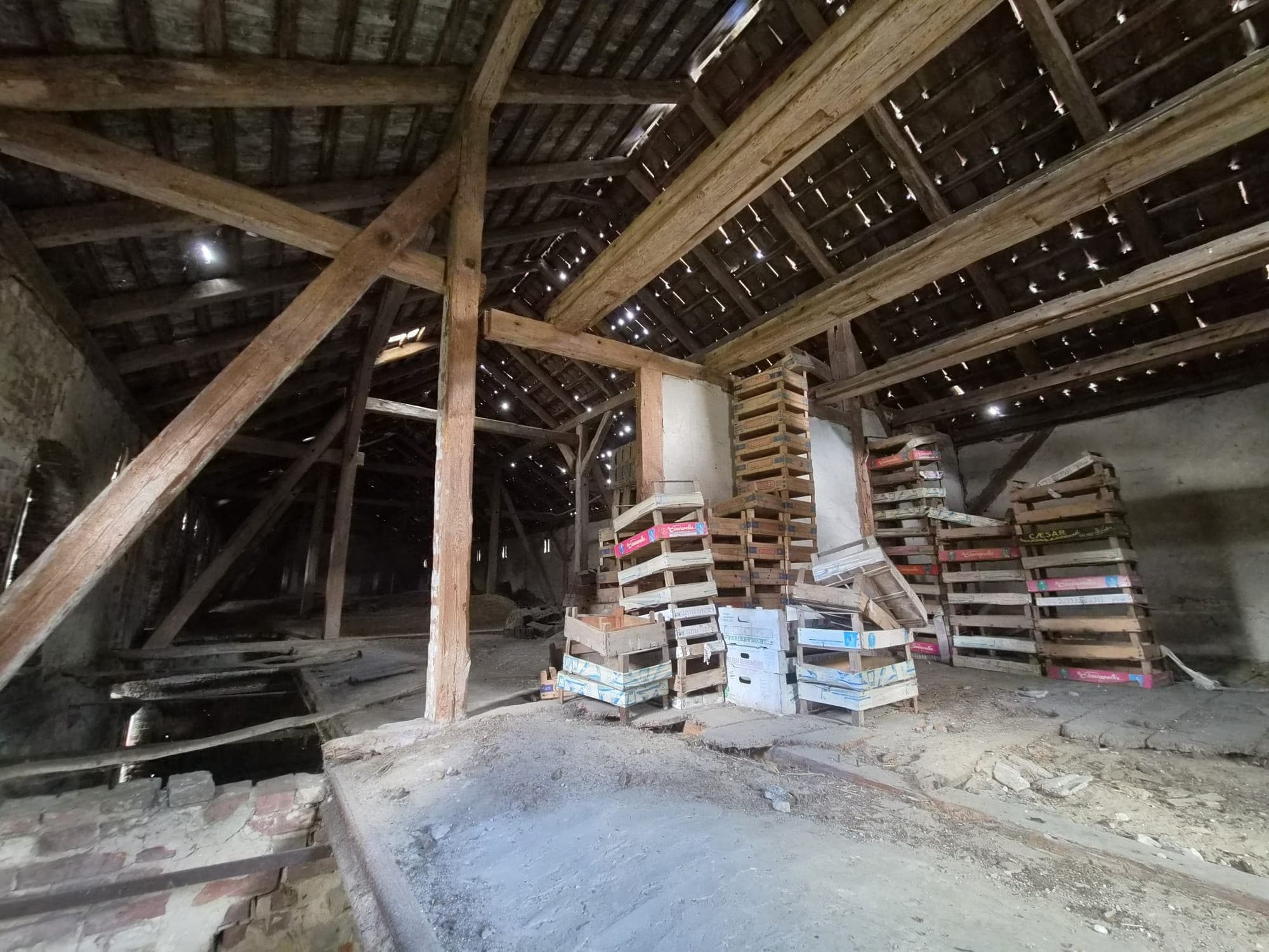 Foto: Lagerhalle 250 m² in Groß Kreutz (Havel)